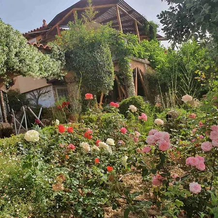 Nadia's Traditional Greek House Σπίτι διακοπών