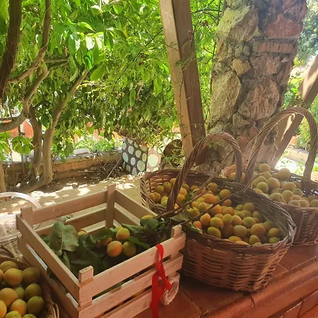 Nadia's Traditional Greek House * Ανάβυσσος