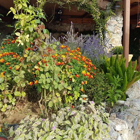 Nadia's Traditional Greek House