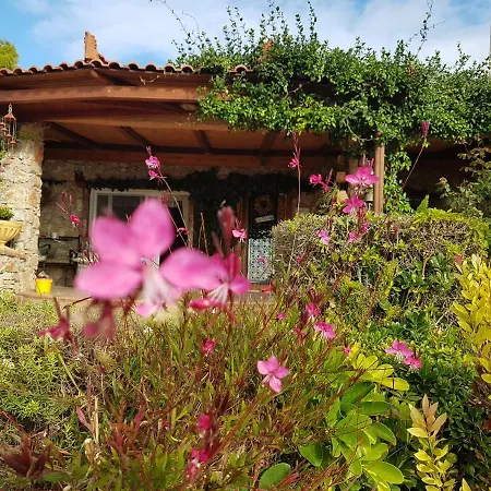 Nadia's Traditional Greek House Σπίτι διακοπών Ανάβυσσος
