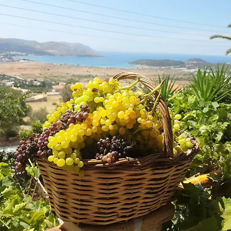 Nadia's Traditional Greek House Σπίτι διακοπών
