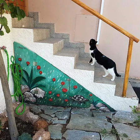 Nadia's Traditional Greek House Σπίτι διακοπών *